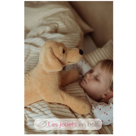 Weighted dog plush 2,2 kg As-84680 ByAstrup 3