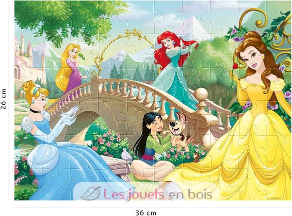 Puzzle Disney Princesses 60 pcs N86567 Nathan 3