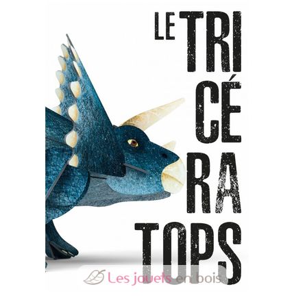 The era of the dinosaurs - 3D Triceratops SJ-9050 Sassi Junior 3