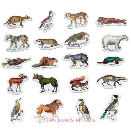 Buffon zoological magnets V9622 Vilac 3