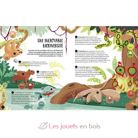 Mega Atlas of Earth SJ-5530 Sassi Junior 4