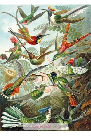 The HAECKEL Hummingbirds WA539-500 Puzzle Michele Wilson 2