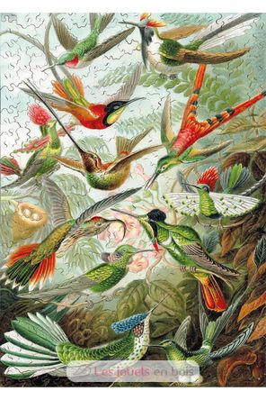 The HAECKEL Hummingbirds WA539-500 Puzzle Michele Wilson 3