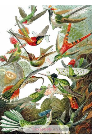 The HAECKEL Hummingbirds WA539-500 Puzzle Michele Wilson 4