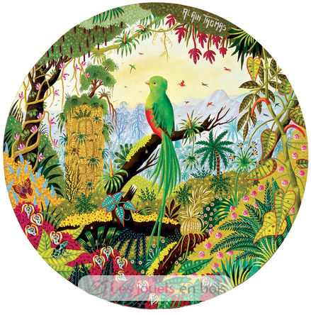 Quetzal by Alain Thomas A874-250 Puzzle Michele Wilson 2