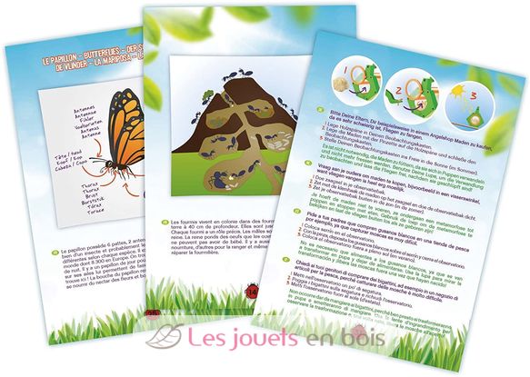 Insect Explorer Kit BUK-BL033 Buki France 3