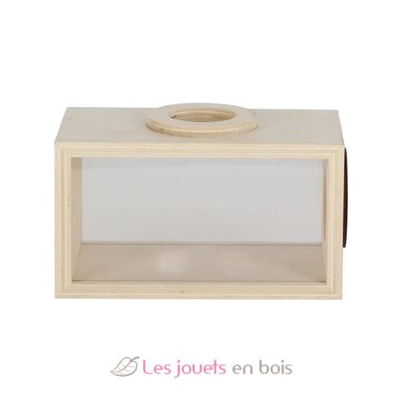 Wooden insect studying box ED-KG371 Esschert Design 2