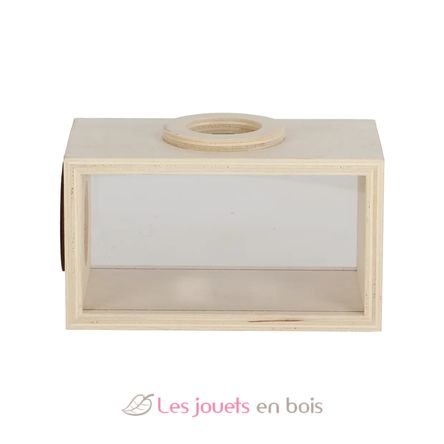 Wooden insect studying box ED-KG371 Esschert Design 5
