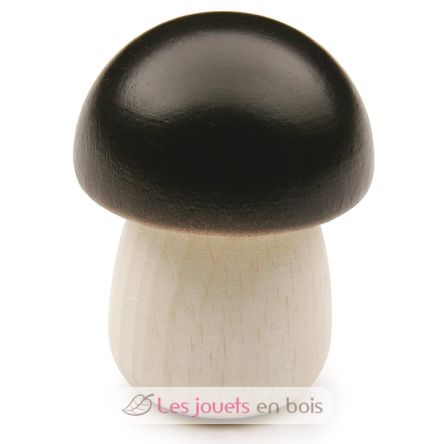 Yellow Boletus ER12260 Erzi 1