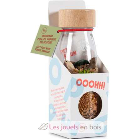 Forest Spy Bottle PB47671 Petit Boum 2