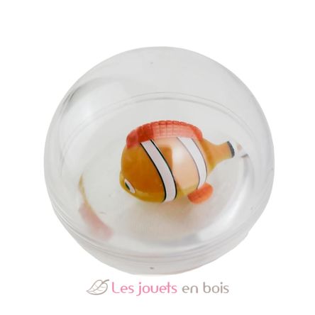 Water ball Clownfish B38012 Bass & Bass 4