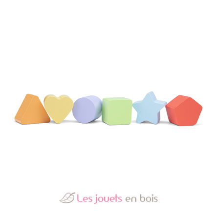 Shape sorting truck NCT10564 New Classic Toys 5