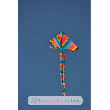 Single line rainbow kite GU-1159 Günther 5