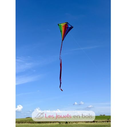 Single line classic kite GU-1119 Günther 3