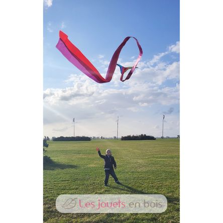 Single line classic kite GU-1119 Günther 5