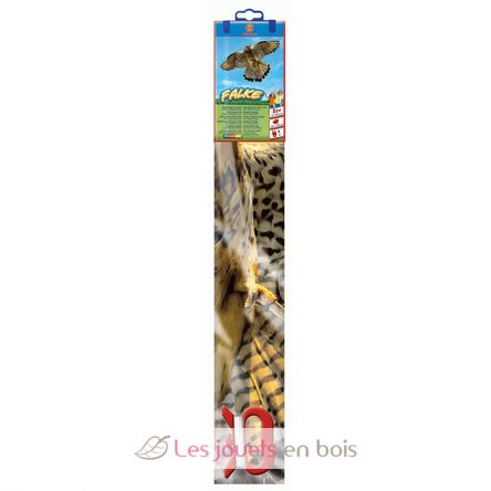 Falcon Kite GU1230 Günther 2