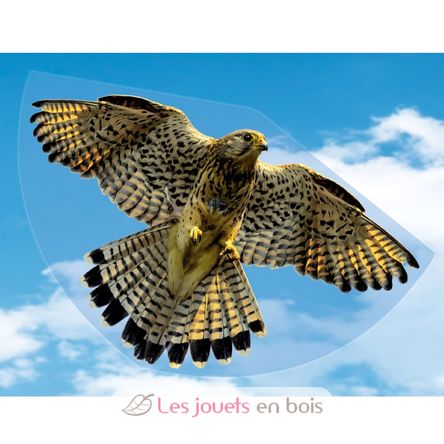 Falcon Kite GU1230 Günther 3