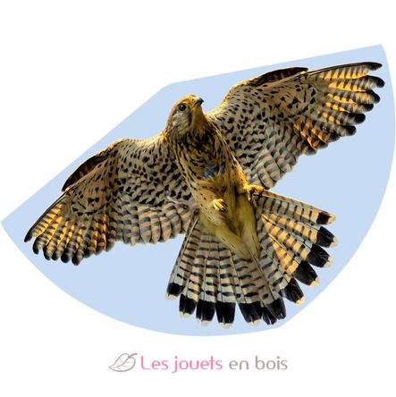 Falcon Kite GU1230 Günther 1