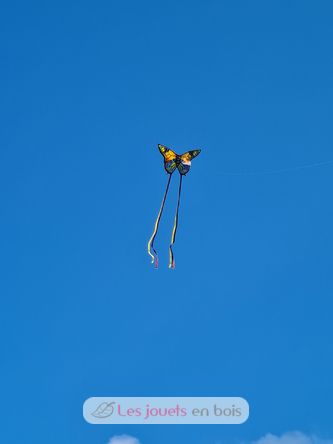 Single line butterfly kite GU-1151 Günther 4