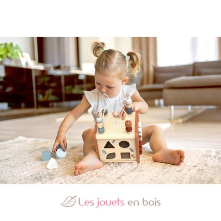 5 in 1 Activity cube SM-SP1020 Speedy Monkey 7