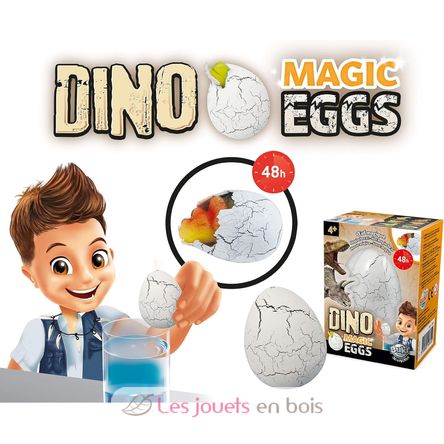 Magic Egg BUK-D6G Buki France 3