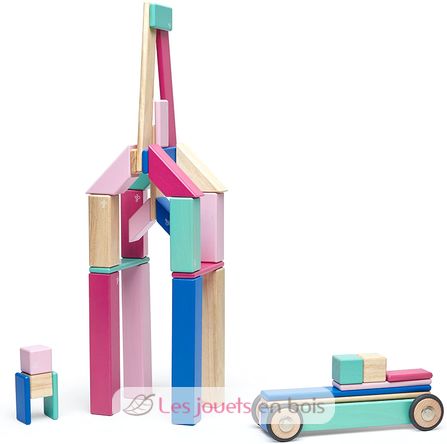 42-Piece Set Blossom TG-42P-BSM-607T Tegu 9