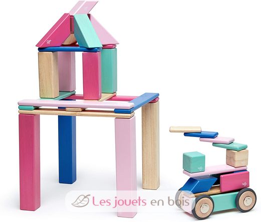 42-Piece Set Blossom TG-42P-BSM-607T Tegu 1