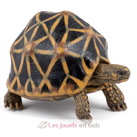 Star tortoise Figurine PA-50333 Papo 1