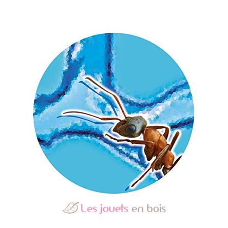 Ants Mini-World BUK-FS4206 Buki France 4