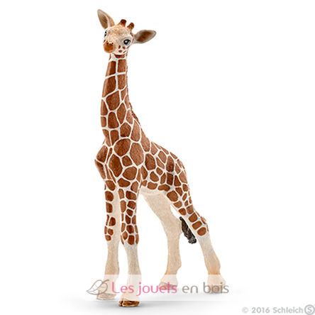 Baby Giraffe SC14751 Schleich 1