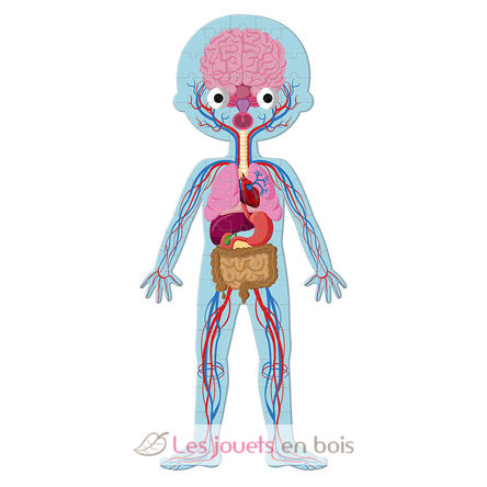 Educational puzzle Human Body J02681 Janod 6