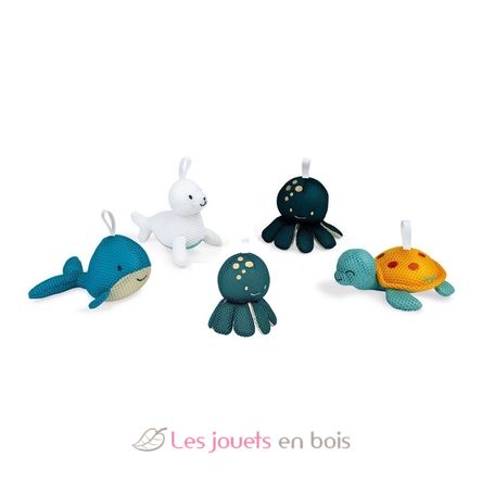 5 bath sponges Marine animals J04728B Janod 1