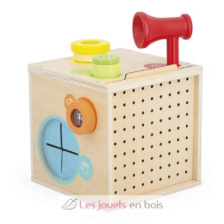 Sensory Box J05307 Janod 5