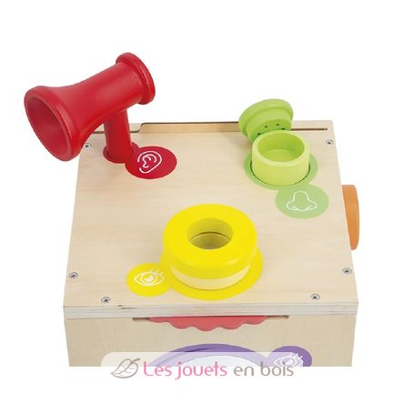 Sensory Box J05307 Janod 6