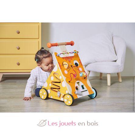 Multi-activities cat baby walker J08005 Janod 11