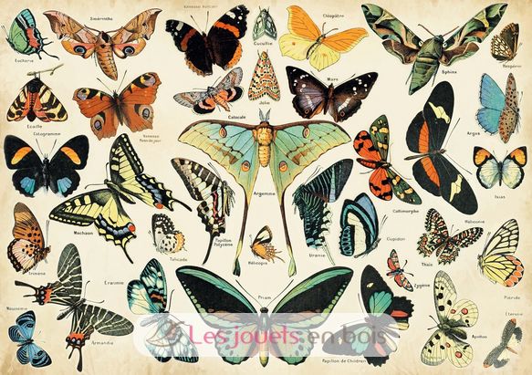 Butterflies according to Millot K1227-100 Puzzle Michele Wilson 2