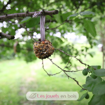 DIY box - Pinecone birdfeeder ED-KG167 Esschert Design 4