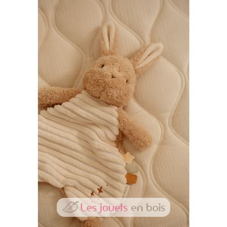 Bunny cuddle cloth Newborn LD8402 Little Dutch 3
