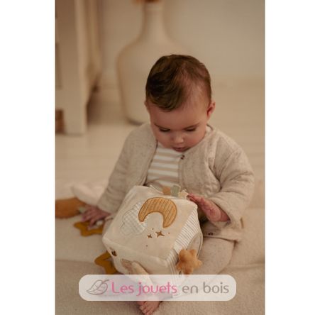 Soft activity cube Newborn LD8409 Little Dutch 12