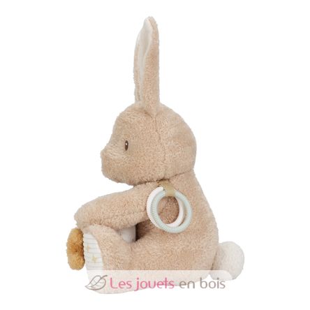 Activity Cuddle Bunny Newborn LD8430 Little Dutch 6