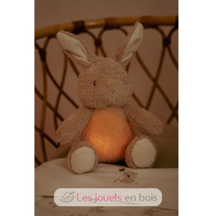 Cuddle Bunny Light and Sound LD8441 Little Dutch 3