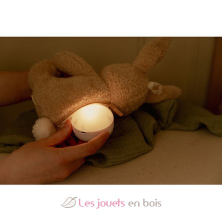 Cuddle Bunny Light and Sound LD8441 Little Dutch 9