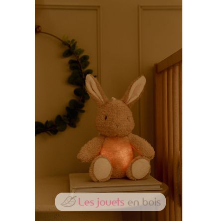 Cuddle Bunny Light and Sound LD8441 Little Dutch 10