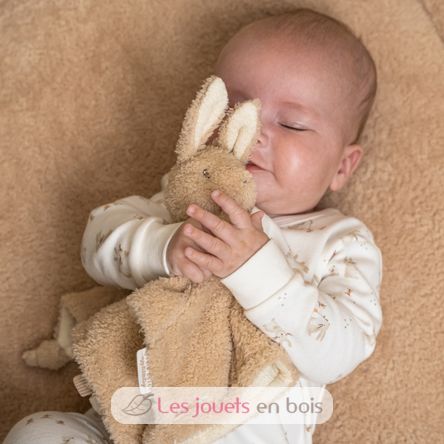 Cuddle cloth Baby Bunny LD8855 Little Dutch 6