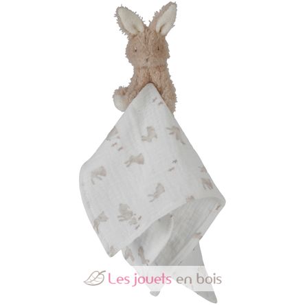 Giftbox Baby Bunny LD8859 Little Dutch 5