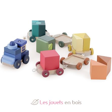 My little cube train V2123 Vilac 6