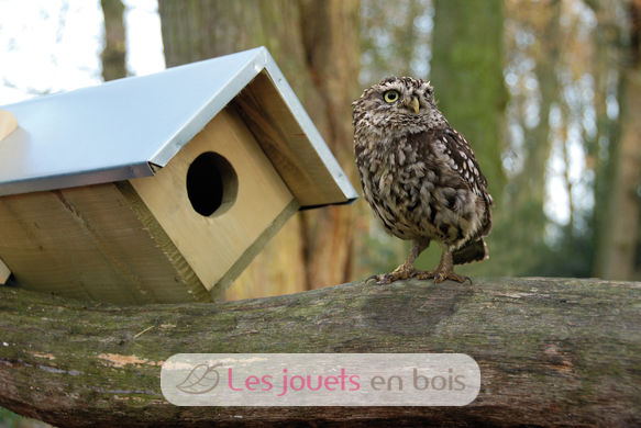 Little owl box ED-NK44 Esschert Design 1