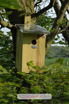 Nest box observation ED-NKO Esschert Design 6