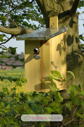 Nest box observation ED-NKO Esschert Design 1