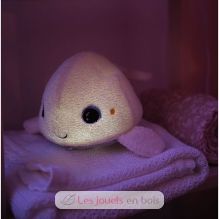 Beluga night light PB-SOLI-BELUGA Pabobo 6